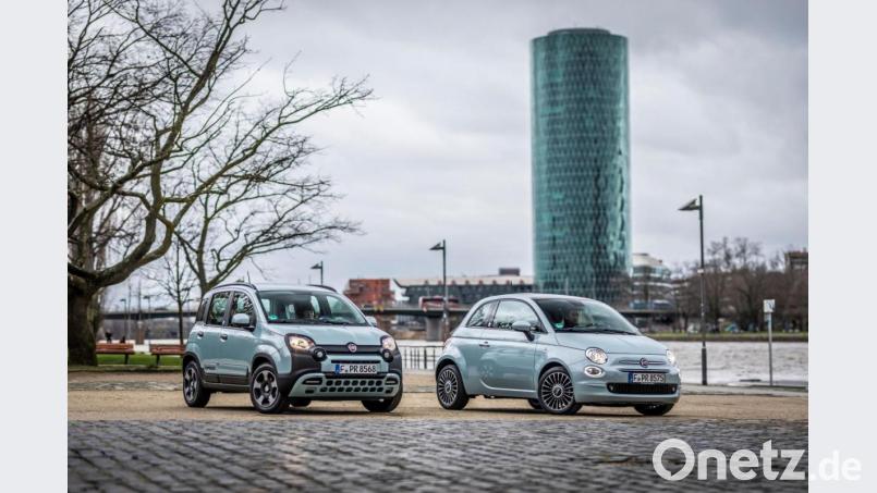 Mit den Hybrid-Modellen für Panda und 500 springt Fiat noch schnell auf den E-Zug auf. Zur Markteinführung gibt es eine sogenannte Launch-Edition. Eine vollelektrische Version des 500er soll noch folgen. Bild: FCA
