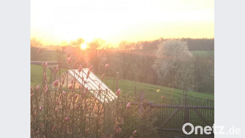 Der naturbelassene Garten kann für den Menschen auch eine Kraftquelle in Krisenzeiten sein. Bild: lg