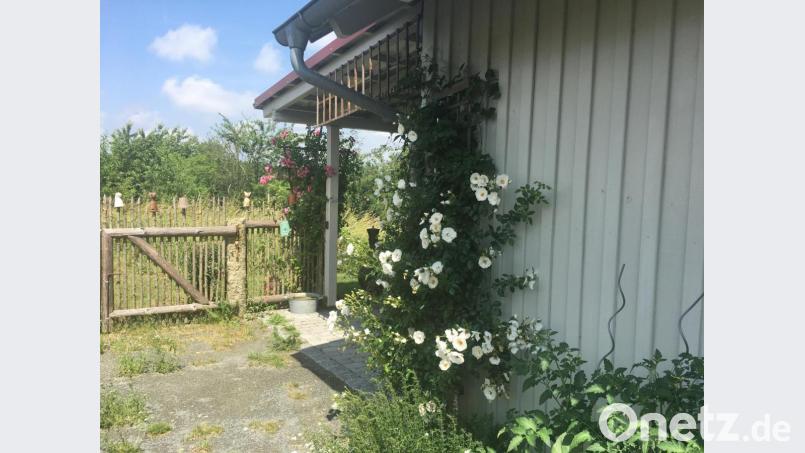 In einem naturbelassenen Garten sind die Gehwege nicht frei von Bewuchs: "Es gibt kein Unkraut im Garten!" Bild: lg