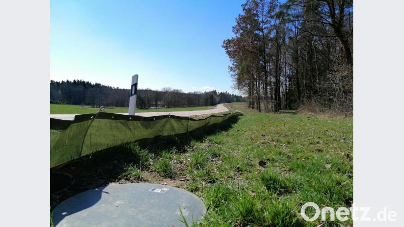 An solchen Schutzzäunen werden die Amphibien während ihrer Wanderung gesammelt und über die Straße gebracht. Bild: anv