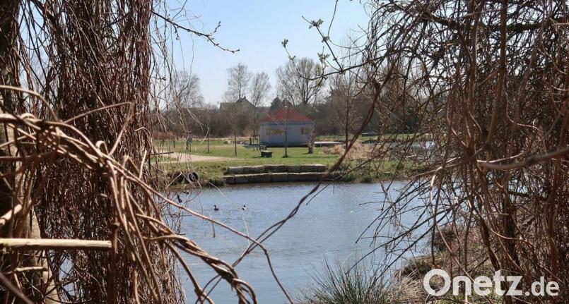 Das Frühjahr hält in den Vilsauen Einzug. Bild: rha