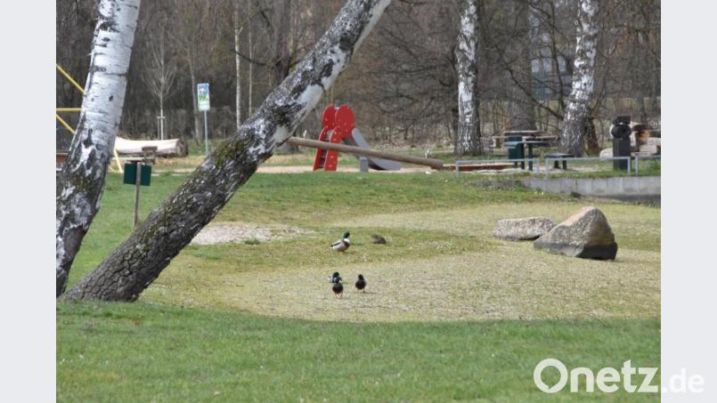 Ruhig ist`s im Stadtbad. Die Spielplätze sind gesperrt. Aber bei herrlichem Frühlingswetter kann man ungestört spazieren gehen. Bild: hcz