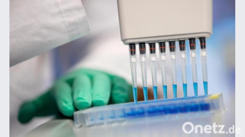 Ein neuer Coronatest soll nach rund zweieinhalb Stunden ein Ergebnis liefern. Bild: Sven Hoppe