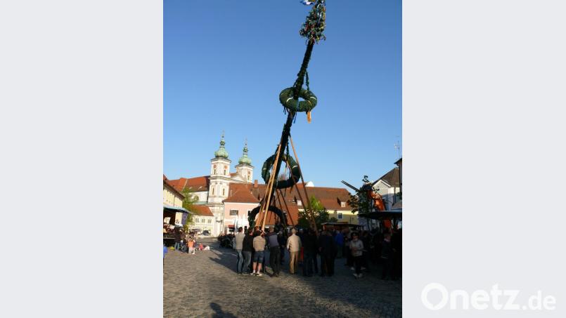 In Waldsassen soll es dieses Jahr, trotz Coronakrise, wieder einen Maibaum geben. Allerdings wird er kleiner ausfallen als der im vergangenen Jahr (Bild). Archivbild: kgg