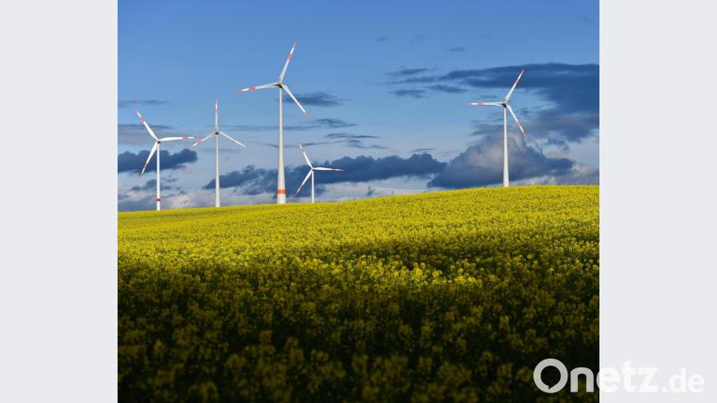 Windräder drehen sich hinter einem leuchtend gelben Rapsfeld. Windkraftgenossenschaften machten im Bayern im vergangenen Jahr ein gutes Geschäft. Bild: Patrick Pleul/dpa