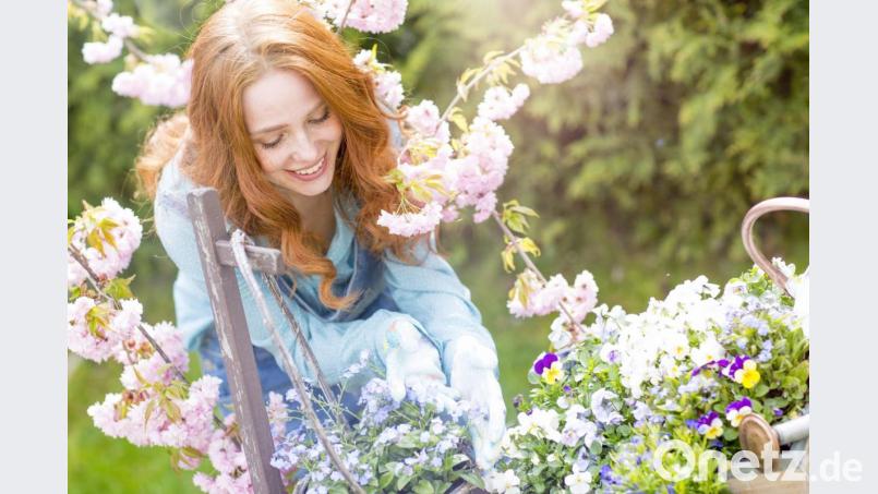 Ob wir nun Schach spielen oder im Garten arbeiten, ist ganz egal. Wichtig ist nur, dass wir komplett in dem aufgehen, was wir gerade tun. Bild: drubig-photo – stock.adobe.com