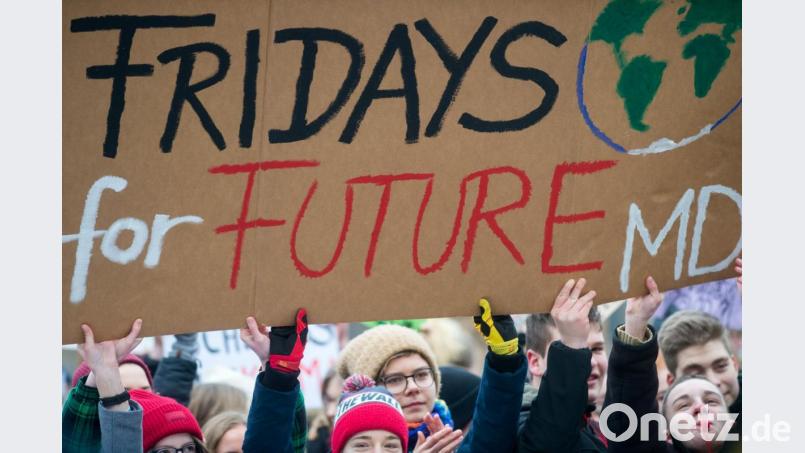 „Fridays for Future“ ist auf dem Schild mehrerer Schüler zu lesen. Archivbild: Klaus-Dietmar Gabbert/dpa