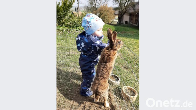 Der kleine Hannes und Hase Monty warten auf Ostern. Bild: fvo