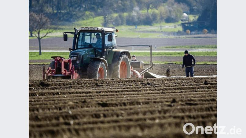 Die Auswirkungen der Coronakrise sind auch für die Land-, Forst- und Teichwirtschaft spürbar. Bild: Philipp von Ditfurth/dpa