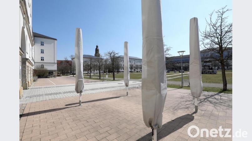 Der Frühling hält auf dem menschenleeren Campus in Amberg Einzug. Laut einer Pressemitteilung der OTH kann das Sommersemester normal starten. Bild: Wolfgang Steinbacher
