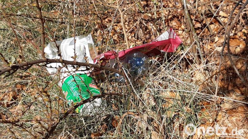 Da die Rama-Dama-Aktion ausfällt, bitten OWV und Bund Naturschutz die Bürger, bei Spaziergängen achtlos weggeworfenen Abfall einzusammeln. Bild: Lowak