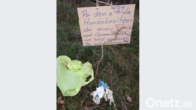"Das muss aufhören": Dieser Meinung eines Trabitzer Bürgers ist auch Bürgermeisterin Carmen Pepiuk. Sie hofft auf ein Ende der Verschmutzung von Wald und Flur durch zurückgelassene Hundekothaufen, Abfallbeutel und Einweghandschuhe. Bild: bjp