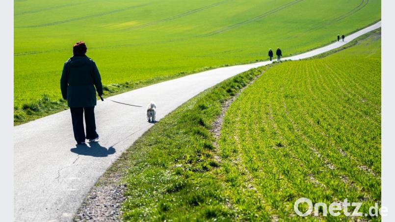 Viele Menschen nutzen trotz der Corona-Krise das sonnige Wetter um Zeit in der Natur zu verbringen. Ob sich das mit den Ausgangsbeschränkungen unter einen Hut bringen lässt? Bild: Jonas Güttler/dpa