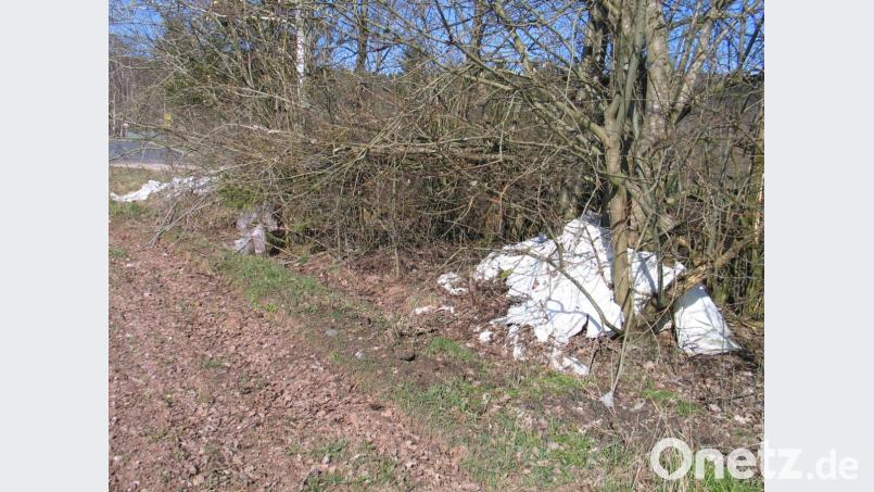 Eine Hecke sollte kein Mülleimer für Kunststofffolien sein. Bild: exb