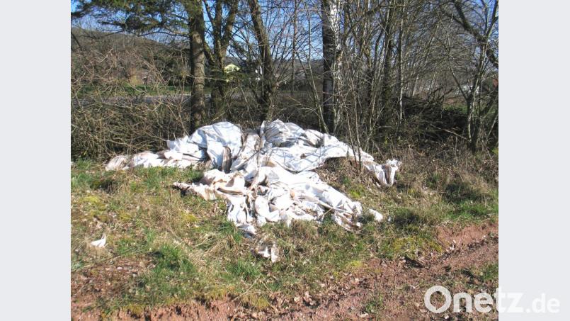 Erntefolien im Gebüsch abgelagert. Dies ist nicht der einzige Fall, in dem Folien aus der Landwirtschaft in der Natur im Gemeindebereich Kulmain entsorgt wurden. Bild: exb