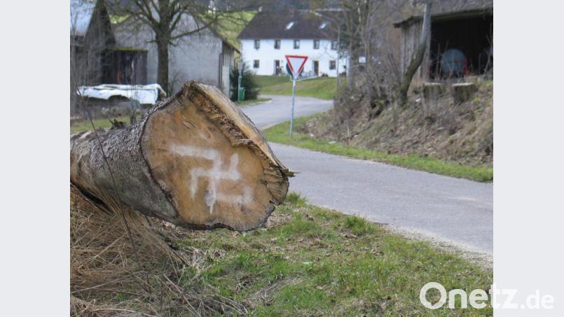 Kurz nach Ölbrunn, mit Blick zum Dorf, springt dem Spaziergänger ein angesprayter Baumstamm ins Gesicht - Wenn auch falsch gezeichnetes Hakenkreuz, schön ist der Anblick nicht. Bild: exb