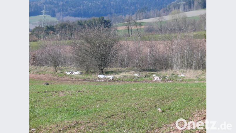 Wenn nicht die Hecke, dann Folienablagerungen am Bahndamm. Bild: exb