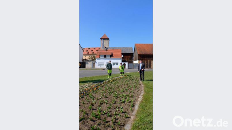 Bürgermeister Hans-Martin Schertl (rechts) bedankt sich bei den Mitarbeitern der Stadtgärtnerei Jonas Wurzer und Monika Meinerz (von links), die im gesamten Stadtgebiet wunderschöne Blumenrabatte angelegt haben. Bild: Stefanie Gradl