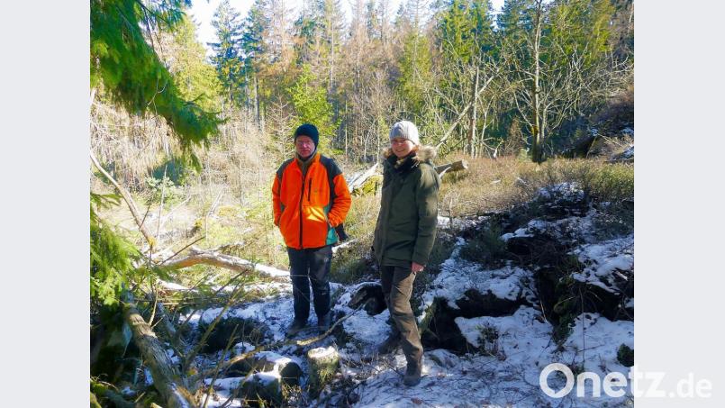 Förster Wolfgang Schödel (links) kennt sein Revier genau. Bei einem Streifzug zeigte er Amelie Nöth (rechts) mögliche Standorte mit Vorkommen von Gartenschläfern. Diese Plätze werden in den nächsten Wochen von zahlreichen Wildkameras ausgiebig durchleuchtet. Bild: bsc