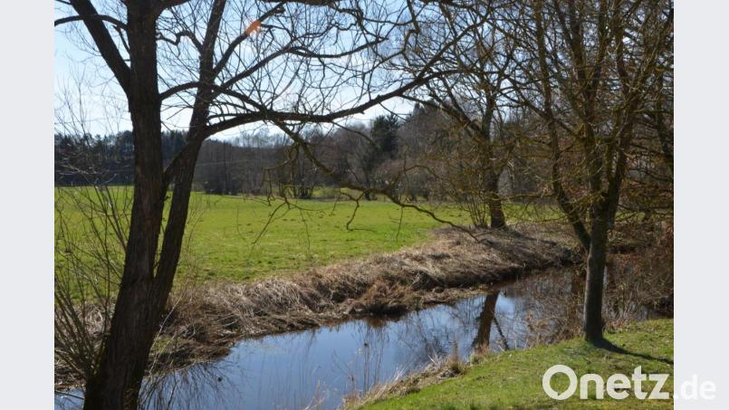 Pfreimd in Altentreswitz Bild: dob