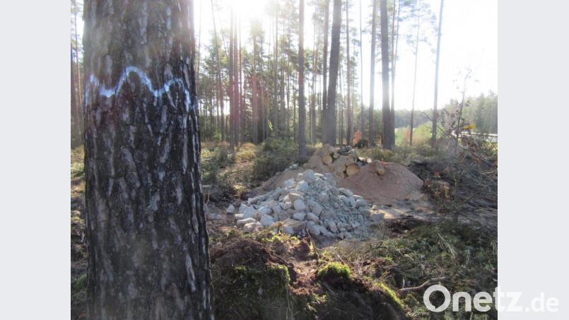 Neben den Habitatelementen aus Holz-, Stein- und Sandhaufen werden einzelne abgesetzte, großkronige Biotopbäume erhalten. Bild: exb