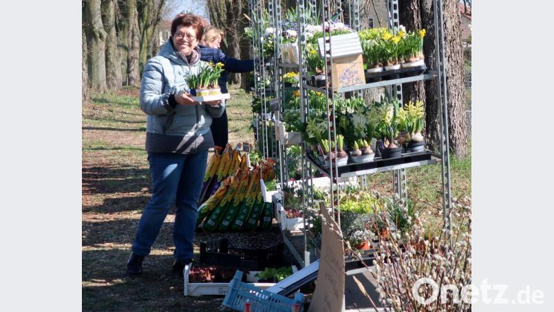 Die Kunden sind dankbar für das Angebot der Gärtnereien und decken sich mit Frühlingsblumen ein. Bild: Hirsch