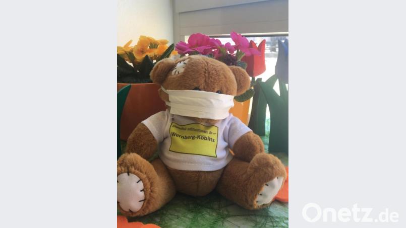 Die Kuscheltier-Challenge als spaßige Aufgabe in Coronazeiten begeisterte die Kinder. Die Wernberg-Köblitzer Schüler gingen als Sieger hervor. Bild: exb