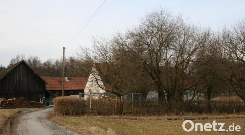 Der Hof Sauernlohe in der Nähe des Weidener Schätzlerbads gehört zur Gemeinde Altenstadt/WN. Archivbild: Rainer Christoph