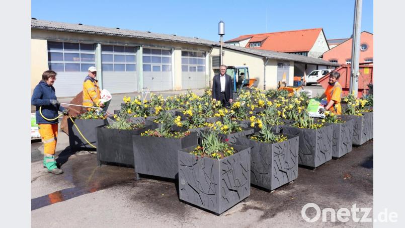 Bürgermeister Franz (Zweiter von rechts.) freut sich mit Andrea Nickl, Thomas Keller und Rosi Rahn vom städtischen Bauhof (von links.) über die bunte Vielfalt. Bild: Stadt Tirschenreuth/exb