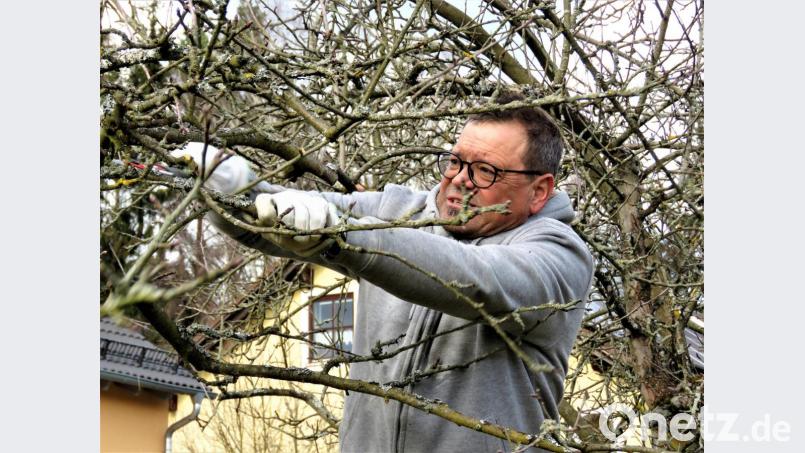 Harald Schlöger zeigte anhand von Bäumen im Garten des Landwirtschaftsamtes, wie mit einfachem Werkzeug vieles in dem Geäst eines Obstbaumes bewirkt werden kann. Bild: ubb