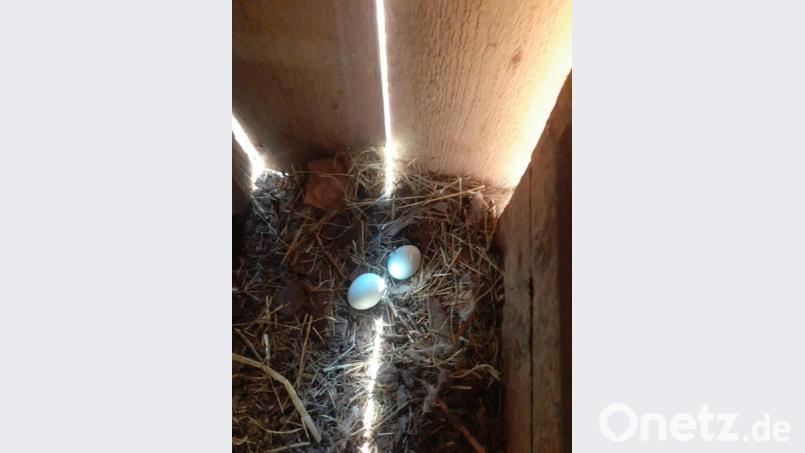 Fündig geworden! Bild: Brigitte Kuhn