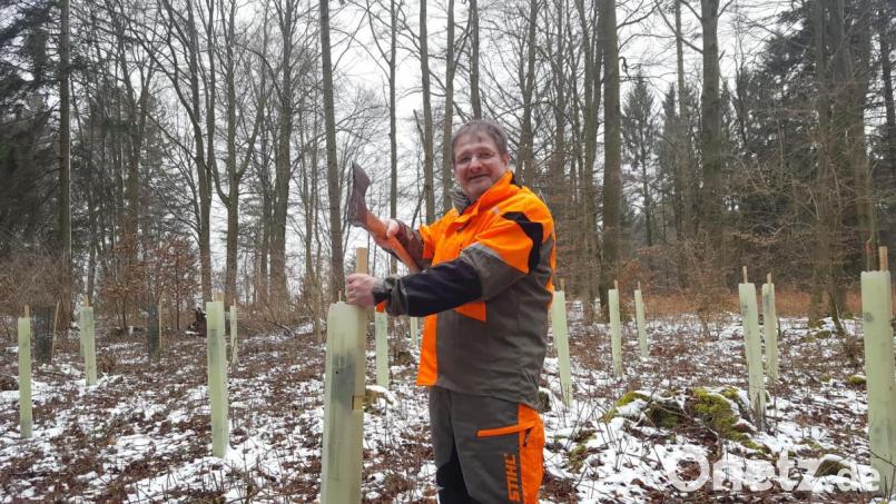Udo Niebler forstet während des Sabbaticals einen Wald auf. Bild: Privat