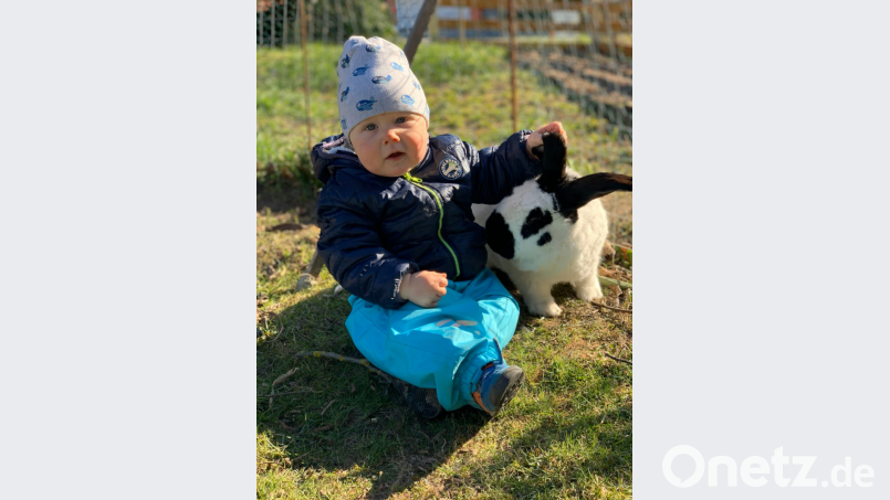 Auf Kuschelkurs mit dem Osterhasen. Der einjährige Jakob aus Püchersreuth stellt sich vorsichtshalber mal mit Rudi gut. Bild: exb
