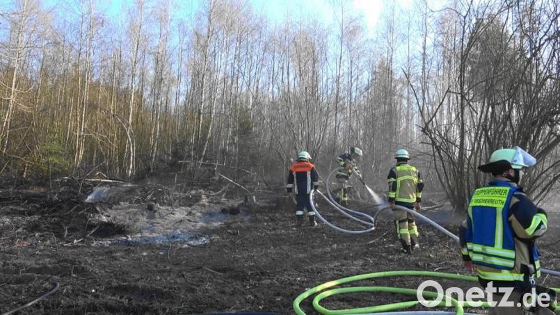 Am Mittwochabend brannte zwischen Schwarzenbach und Grün eine Fläche in einem Waldabschnitt. Bild: nic