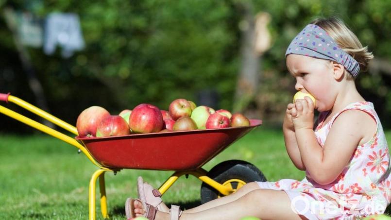 So ein Apfel kann ganz schön lecker sein – und gesund noch dazu. Mit dem Rezept der Jugendarbeit des Landkreises können Kinder Äpfel sogar trinken. Bild: agentur_dpa
