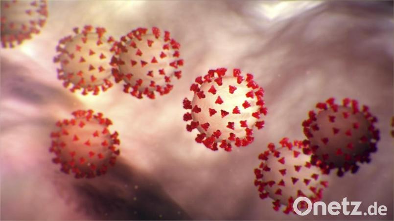 Diese vom Center for Disease Control and Prevention (CDC) erstellte Illustration zeigt das neuartige Coronavirus 2019. Bild:  Center for Disease Control/Planet Pix via ZUMA Wire/dpa