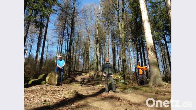 Abstand gilt in Coronazeiten auch beim Ortstermin im Wald: Ingo Greim vom Forstbetrieb Flossenbürg (von links) und Forstdirektor Gerhard Hösl lassen sich von Revierleiter Rudolf Stadler die zum Fällen markierten Bäume zeigen. Ab 14. April läuft die Abholzaktion in Sichtweite zum Stückberg-Aussichtsturm an. Bild: Portner