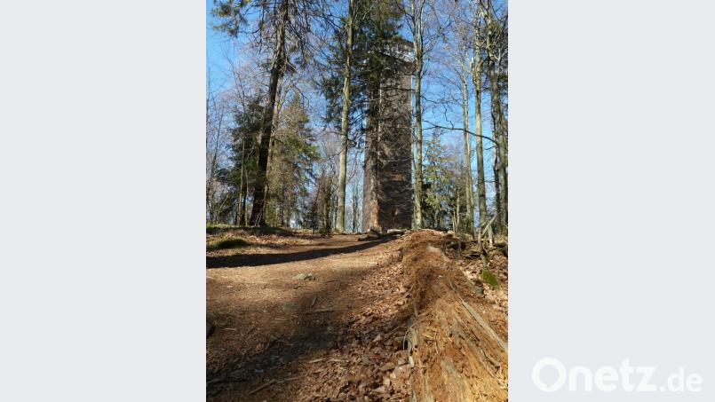 Der morsche Baumstamm hat sich schon fast zersetzt und wird Teil des natürlichen Nährstoffkreislaufs. Im Hintergrund der Stückberg-Aussichtsturm. Bild: Portner
