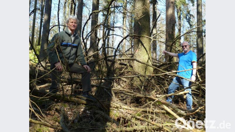 Nur wenige Meter abseits des Weges präsentiert sich das Reservat sehr naturbelassen. Das freut Ingo Greim (rechts) und Gerhard Hösl. Bild: Portner