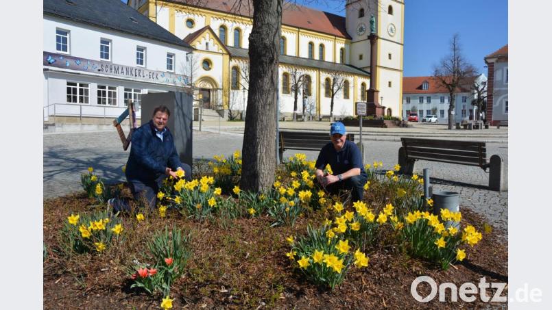 Stadtgärtner Willi Kilian (rechts) hat mit seinem Team wieder für blütenreiche öffentliche Flächen in Mitterteich gesorgt. Zweiter Bürgermeister Stefan Grillmeier kündigte an, dass darauf auch künftig großer Wert gelegt werde. Bild: jr
