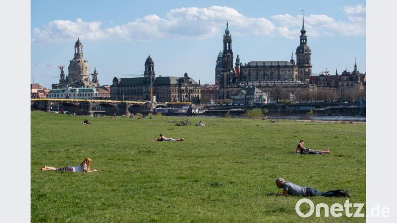Menschen liegen in Abständen auf den Elbwiesen in Dresden. Foto: Robert Michael/dpa-Zentralbild/dpa Bild: Robert Michael