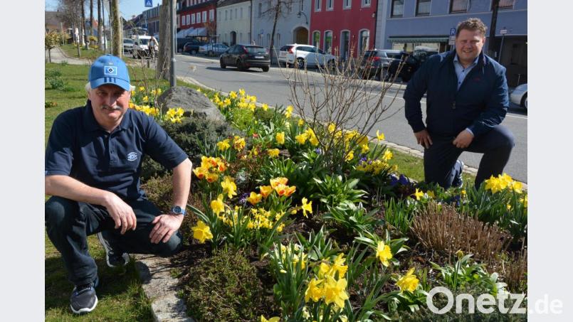 Stadtgärtner Willi Kilian (links) hat mit seinem Team wieder für blütenreiche öffentliche Flächen in Mitterteich gesorgt. Zweiter Bürgermeister Stefan Grillmeier kündigte an, dass darauf auch künftig großer Wert gelegt werde. Bild: jr