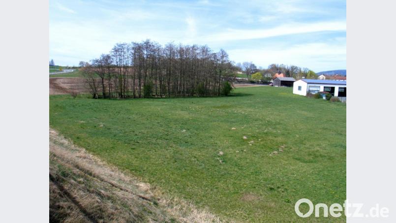 Mitten im geplanten Gewerbegebiet zwischen Friedhof und Staatsstraße 2177 liegt ein kleines Feuchtbiotop. Dotterblumen blühen dort bereits. Die spannende Frage ist, kann es wie gewünscht verlegt werden? Bild: bkr