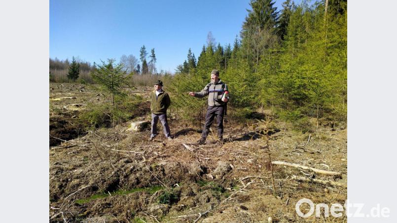 Die Beratung von Privatwaldbesitzern ist eine der Kernaufgaben von Förster Markus Reger (rechts). Bild: exb