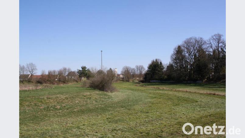 Eine letzte Planänderung im Januar beseitigte die von Bahn und Bundeswehr monierte Blendgefahr. Somit kann der Schwarzenbacher Gemeinderat das Öffentlichkeitsbeteiligungsverfahren für den geplanten Solarpark Hirtweiher abschließen. Bild: bjp