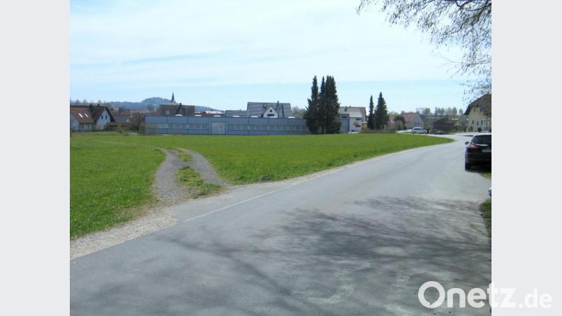 Seit vielen Jahren ist die Dreiecksfläche, begrenzt durch die Lenauer Straße und einen Feldweg, Gewerbegebiet. Keiner will es. Deshalb soll es aufgelöst werden. Bild: bkr
