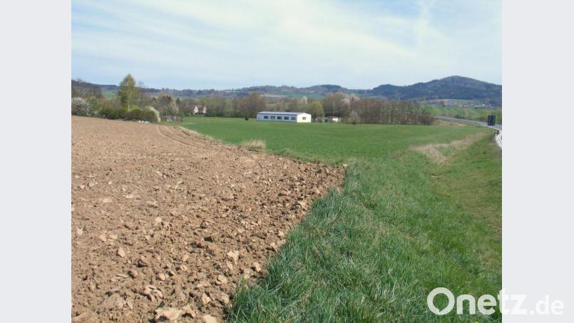 Blick auf das geplante Gewerbegebiet von der Einfahrt Kulmain West der St. 2177. Links die Eingrünung des Gottesacker, in der Mitte der Bauhof der Gemeinde und rechts davon das Biotop. Die St. 2177 grenzt rechts am Rande das geplante Gewerbegebiet ab Bild: bkr