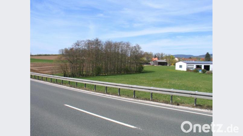 Mitten im geplanten Gewerbegebiet zwischen Friedhof und Staatsstraße 2177 liegt ein kleines Feuchtbiotop. Dotterblumen blühen dort bereits. Die spannende Frage ist, kann es wie gewünscht verlegt werden? Bild: bkr