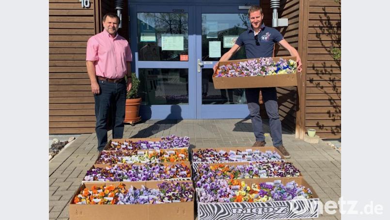 Stefan Böttcher (rechts) von der gleichnamigen Versicherungsagentur übergibt 250 Blumenstöcke an den Geschäftsführer der Ökumenischen Sozialstation in Sulzbach-Rosenberg, Günther Koller. Bild: exb