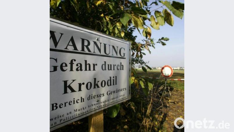 Tagelang suchten im Herbst des Jahres 2007 dutzende Bedienstete von Wasserwacht, Feuerwehr und Polizei mit Wärmebildkameras, einem Hubschrauber, Booten und zwei Spürhunden nach einem zwei Meter großen Reptil in Baggerseen und Kiesweihern. Zwei Zeugen hatten ein Krokodil gesichtet. Archivbild: td